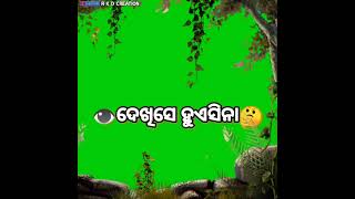 Odia green shren video//ଦୂର ଆକାଶ ରେ ଜହ୍ନ ଟିଏ ଦୁଇଆଖି ରେସେ ସ୍ବପ୍ନଟିଏ  stastus video❤️//#R_K_D_creation