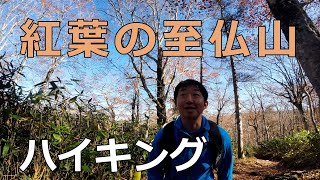 【ハイキング】紅葉の尾瀬　至仏山～鳩待峠から往復～