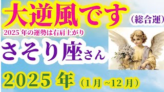 【蠍座の総合運】2025年（1月～12月）のさそり座の総合運。星とタロットで読み解く未来 #蠍座 #さそり座