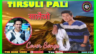 Salaijo songs 2019 || Tirsuli pari तिर्शुली पारी || Raju Gurung || live || Cover Songs || Hom pun