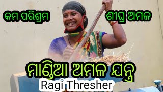 Ragi (Finger Millet) thresher |Mandia amala jantra||  Ragi Thresher /finger millet harvest