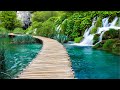 Deep Healing Music, Healing Your Nervous System, Instant Relief from Stress and Anxiety, Calm Nature