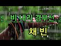 비 내리는 경부선 가사 / 채 빈 ( 원곡 배 호 )