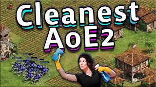 One of the Cleanest AoE2 Games You'll See!