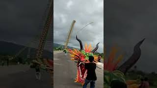 the grandest and amazing dragon kite