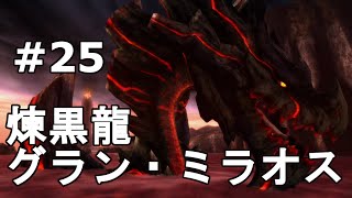 #25【MH3G HD】最終回！煉黒龍グラン・ミラオス　ハンマー【モンハン実況】