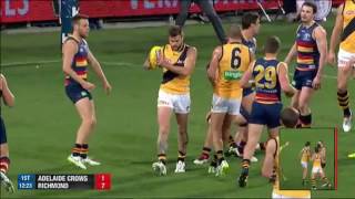 AFL 2015 Week 19 Adelaide Crows vs Richmond Tigers 07.08.2015