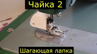 Чайка 2 Шагающая лапка