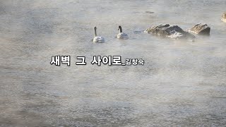 정설연 시낭송 5집_새벽 그 사이로_김창숙_편집 윤기영