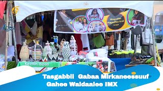 Tasgabbii  Gabaa Mirkaneessuuf  Gahee Waldaalee IMX