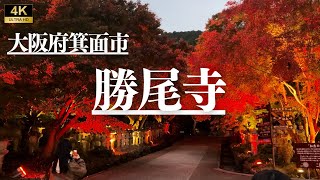 【紅葉】勝尾寺　大阪府箕面市