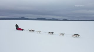 Maine musher prepares for sled dog race across Alaskan wilderness