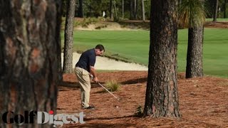 Lessons From Pinehurst: Hitting Off Pine Straw