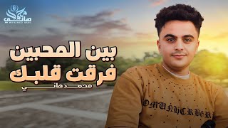 محمد هاني - بين المحبين فرقت قلبك