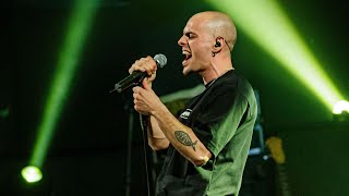 Blowfuse | Los conciertos de Radio3 (2024) HD