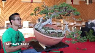 Making a Juniper Bonsai by Michael Tran