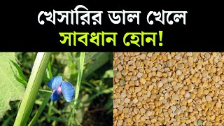 খেসারির ডাল খেলে সাবধান হোন! || BD Advice