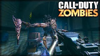 Can I Beat the SCARIEST CoD Zombies Map EVER made?