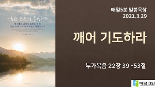 [매일5분 말씀묵상] 깨어 기도하라