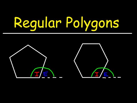 What is the measure of an interior angle in a regular polygon with 19 sides?