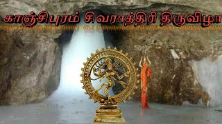 AMARNATH SIVAN | SIVARATHIRI FESTIVAL KANCHIPURAM | BANDSET ENTERTAINMENT