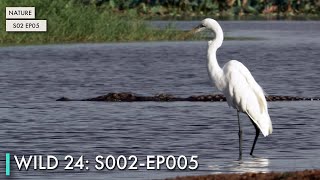 Wild 24: S02 EP05