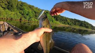 Incredible Topwater Action on Waterboo Lake