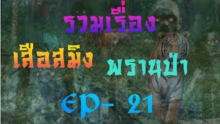 รวมเรื่องเสือสมิง พรานป่า ep- 21
