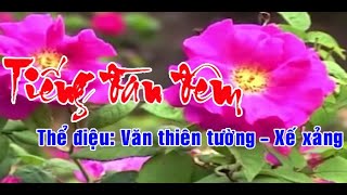 Karaoke Văn thiên tường - xế xảng TIẾNG ĐÀN ĐÊM - KÉP