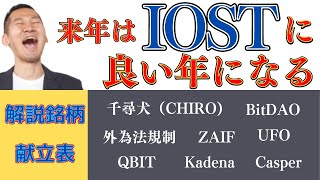 千尋犬（CHIRO）、IOST、BitDAO、Play to Earn！？とても１テーマで切り抜けない銘柄解説！！