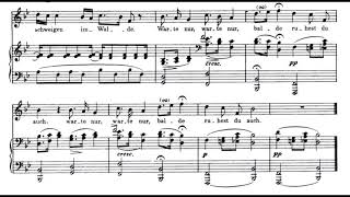 Franz Schubert - Wandrer Nachtlied (audio+score)