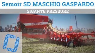 Semoir direct GASPARDO Gigante Pressure - SIMA 2019