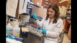Becoming A Scientist At Stony Brook