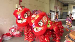 MOVE Spotter: Lion Dance (Kuan Feng Arts Centre)