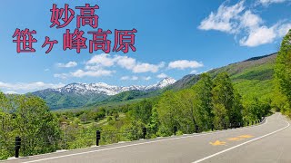 ドライブ日和‼妙高高原駅から笹ヶ峰高原へ