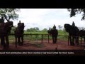 Episode 3: Zambia's Victoria Falls, Devil's Pool, and Livingstone