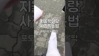 지올팍이랑 사진 찍은 모음집