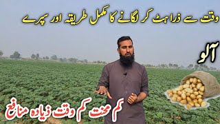 Potato farming |Potato cultivation, seeds sowing, fertilizer, water \u0026 spray complete guide |IR FARM