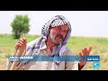 severe water shortage in iraq hit farmers hard