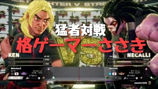 スト５　猛者対戦　格ゲーマーささき　アンチです！笑