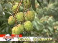 1040513【港都新聞】tktv高雄都會台