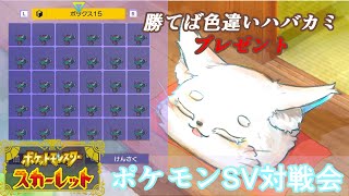 【ポケモンSV】色違いハバタクカミ配布対戦会