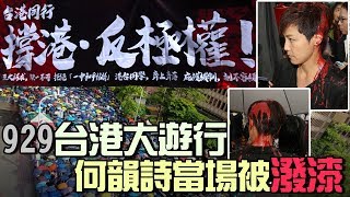 929台港大遊行—撐港反極權　黑衣上街挺港人｜三立新聞網SETN.com