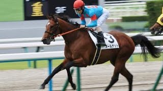 2歳新馬　 芝2000m (右 A) 　オールナット　牡2　56.0　北村友一　2023.10.9　　出走馬：プレリュードシチー、ジャスティンアース 、メイショウタバル、ウォーターリヒト他