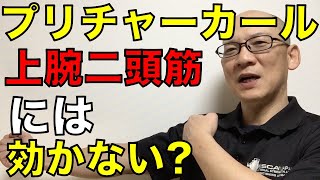 プリチャーカールは実は上腕二頭筋に効かない?