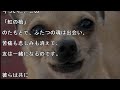 亡くなった犬が天国に召される時に渡る「虹の橋」を無事に渡れるように飼い主がしなければいけない事とは？【感涙】