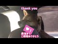 【柴犬 もみさん】 ドッグラン）ホワイトシェパードに　見守られる　犬　💕　 dog run dog guarded by white shepherd　shibainu　Ｍomisan