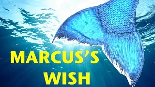 Marcus's Wish: The story of the Little Merman in California