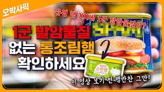 술, 담배만큼 위험한 1군 발암물질이 K밥도둑?ㅣ아이들에게 \