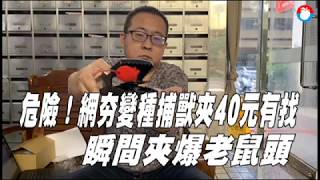 2019-02-25 蘋果動新聞 - 網夯變種捕獸夾夾爆老鼠頭 動物救援小組籲禁用